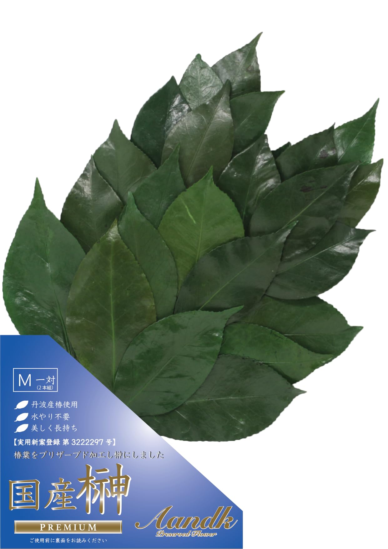 

A&K Sakaki Preserved Flowers (MediumPair) - Never Wither, Not Artificial, No Watering Required, Made in Japan, Tanba, Shinto Altar Decoration,