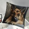 1pc of German Shepherd Printed Pillowcase, 45*45 Cm, Made of Soft And Smooth Polyester Short Plush Fabric, with a Single-Sided Printed Design, Modern 