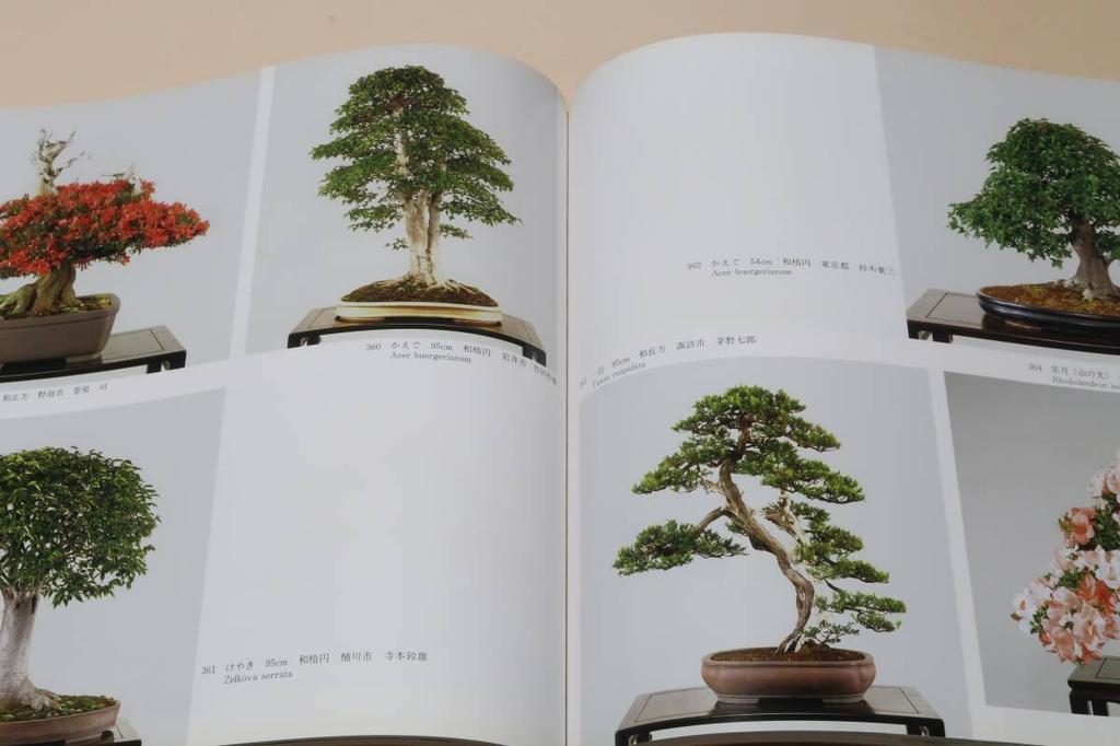 [USED] Bonsai Photo Book Set of 3 Issuten Exhibition 1978 1989 Japan Bonsai Association World Expo Japan Store