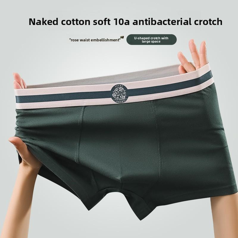 Plus Size Men's New Summer Cotton Anti Bacterial Breathable Sport Boxer Briefs
