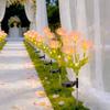 Solar Powered Spider Lily Flower Stake Lights Waterproof Outdoor Garden Decor Lamp for Yard Patio Camping Wedding Decoration