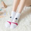 Winter Explosion Coral Fleece Women'S Socks Three-Dimensional Cartoon Terry Socks, Thickened Christmas Socks, Japanese Floor Socks