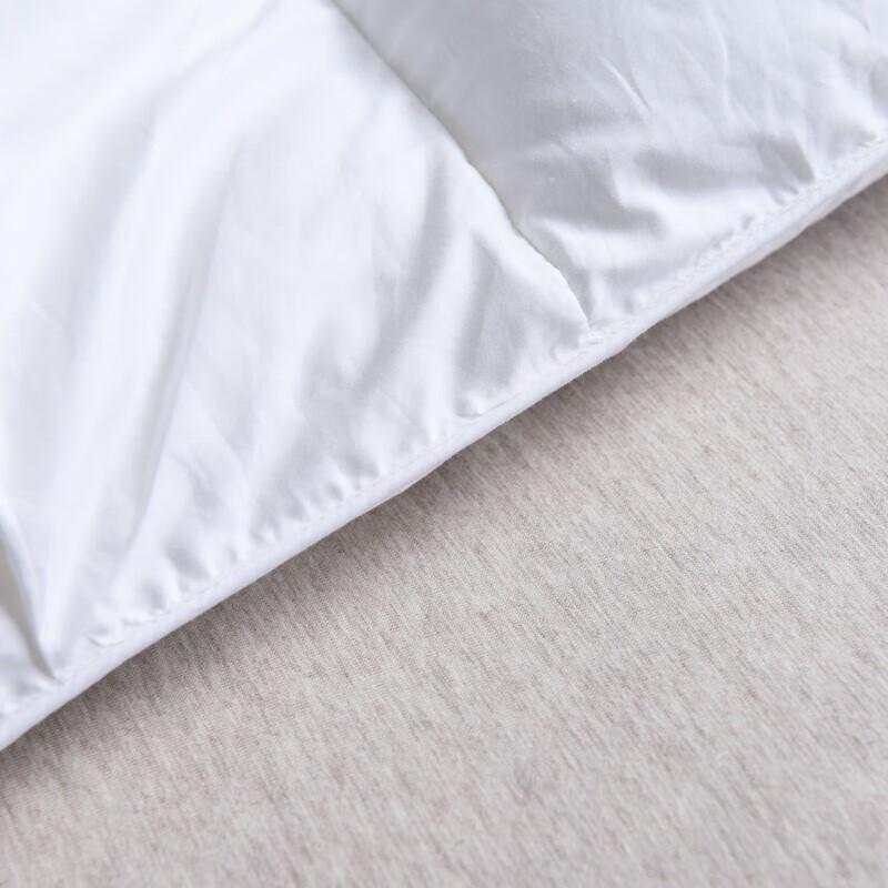 Plover Premium Goose Down Quilt
