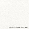Holbein Waterford Watercolor Paper, White, Medium Grain, 190 gsm, 280 x 190 mm, 4 Sheets, 262055