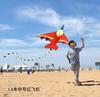 New Aircraft Kite: Breeze Easy To Fly Children'S Special Small Cartoon Long Tail Large Kite