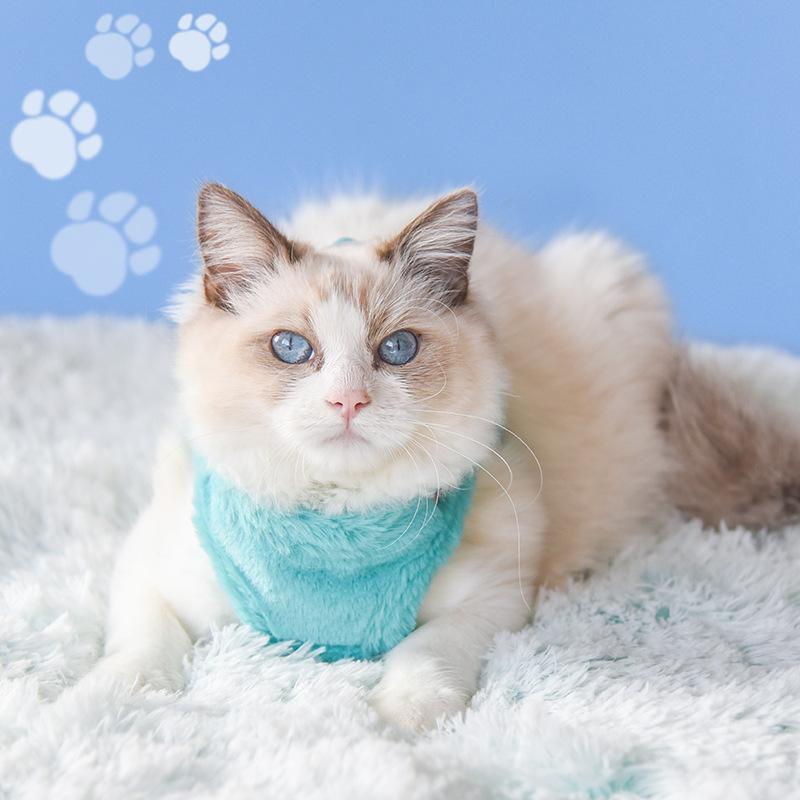 Luxus-Upgrade Katze Welpe Geschirr und Leine Sets Winter Warm Haustier Reflektierende Geschirre Weste für Katzen Kätzchen Kleine Hunde Yorkshire