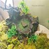 Reptile Food Feeding Bowl Water Dish Artificial Tree Trunk Moss Decor For Turtle Lizard Gecko Snake