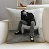 P-Ji Chang-Wook Cushion Cover Natural Linen Pillowcase Set, All-In-One Decor For Sofa, Bedroom & Chair