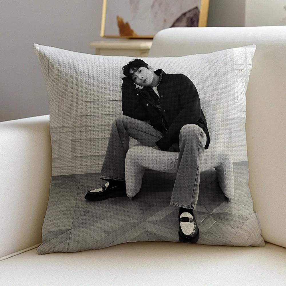 P-Ji Chang-Wook Cushion Cover Natural Linen Pillowcase Set, All-In-One Decor For Sofa, Bedroom & Chair
