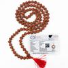 10 Mukhi Indonesian Rudraksha Mala 108+1 Beads |Spiritual Healing Necklace| Meditation Yoga Mala |Authentic Rudraksha Mala for Men & Women