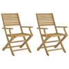 VidaXL Lot de 2 Chaises Pliables de Jardin, Sièges avec Dossier, Meubles de Patio Terrasse Extérieur, Moderne, Bois Massif 365737