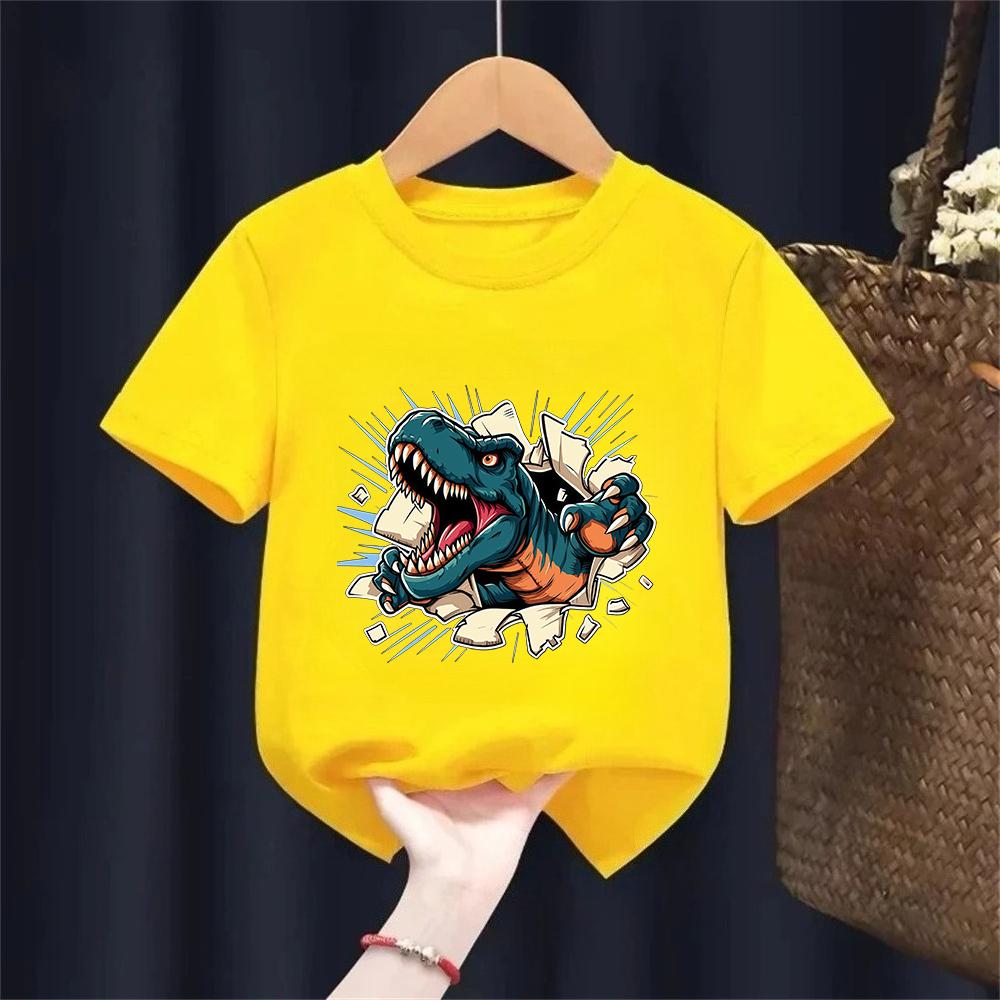 Funny Kids Dinosaur Graphic Tee Tshirt Cute Short Sleeve TShirt for All Seasons Boys Girls T Shirt 110