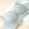 Medium-thickness Lace Push-Up Bra: Wire-Free Support, Lifts, Shapes & Enhances for Smaller Busts.