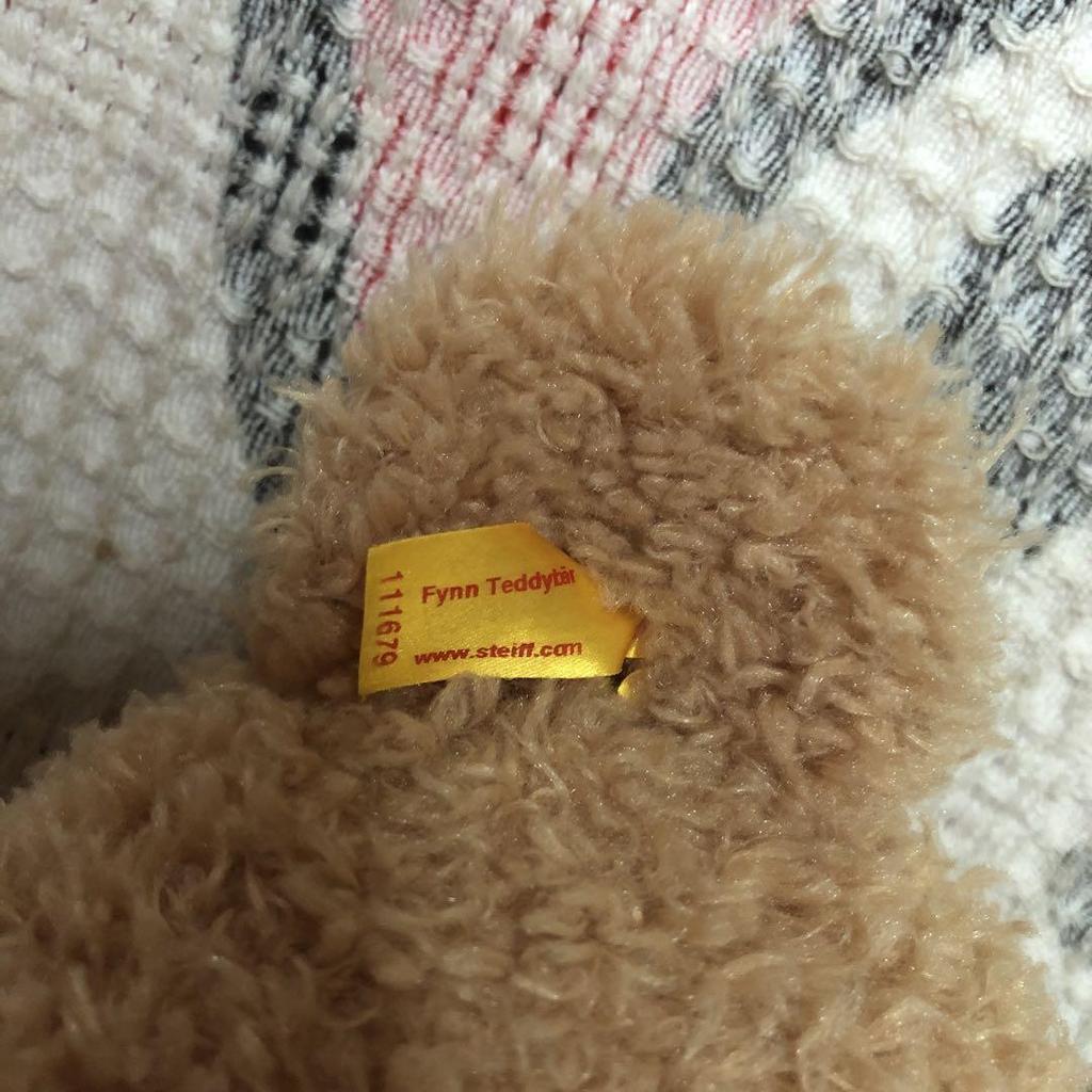 [USED] Steiff Teddy Bear Finn 40cm (Used)