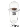 Kit Vaso per Coltivazione Idroponica Set Completo per Germinazione Piante per Balcone Lattuga Barbabietola Colza Prato e Giardino Didattica