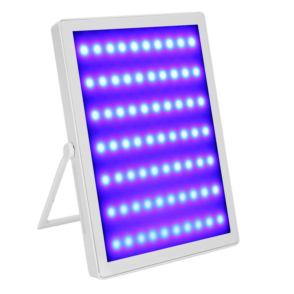 Photon Hautverjüngungsgerät Rot Blau Lichttherapie Akneentfernung Schönheitsinstrument