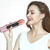 Professional Handheld Wireless Microphone 2000mAh Long Battery For Music Speeches Meeting Speakers Microphone 2 in 1