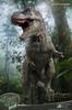 Star Ace Toys Wonders of the Wild Tyrannosaurus Rex Polyresin Approximately 370mm in Complete Figure SA5014 Statue, Length, Non-Scale, Painted,
