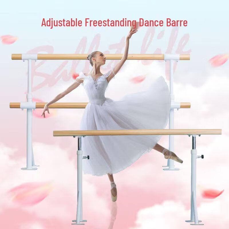 SND 3-Meter Fixed Dance Barre Kit CN Plug (adapter Included)
