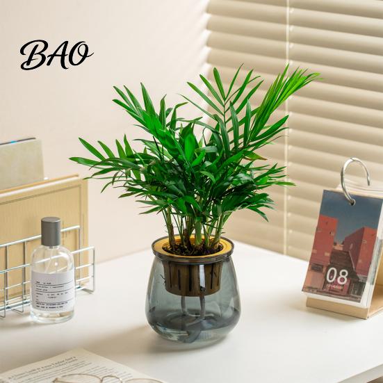 Hydroponic Plant Pot Self Watering Planter for Indoor Plants, Transparent Planter, Decorative Minimalist Flowerpot with Wick Rope Home Office Desktop