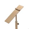 Durable Shoe Display Stand - Sturdy Design, Adjustable Height, Rustproof for Retail Stores