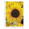 Sunflower Throw Blanket Warm Kid'S Soft Personalized Gift Blankets