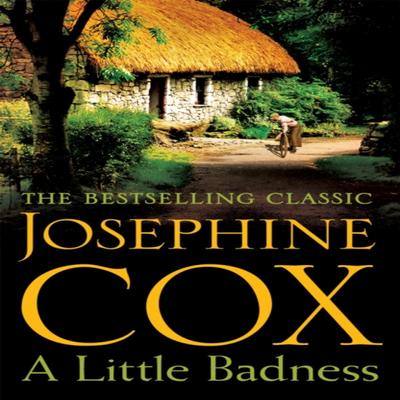 A Little Badness by Josephine Cox Paperback Book 9781472245748