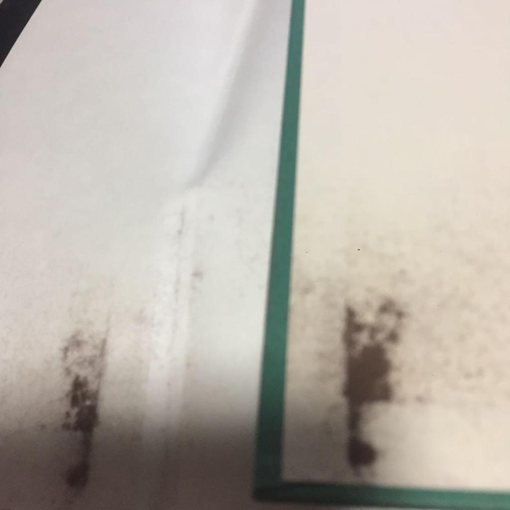 [USED] Noto Earthquake Donation, Hieronymus Bosch's Iconography, Idiots and the Middle Ages In Paradise, Masaaki Kanbara