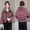 Winter Fashion Lapel Cotton Coat for Women Loose Short Down Cotton Jacket