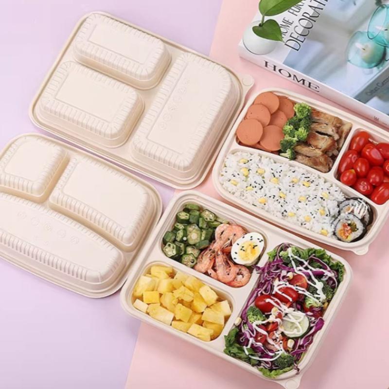 Environmentally Friendly and Biodegradable Disposable Food Container Water and Oil Repellent Thickened and Compression-resistant