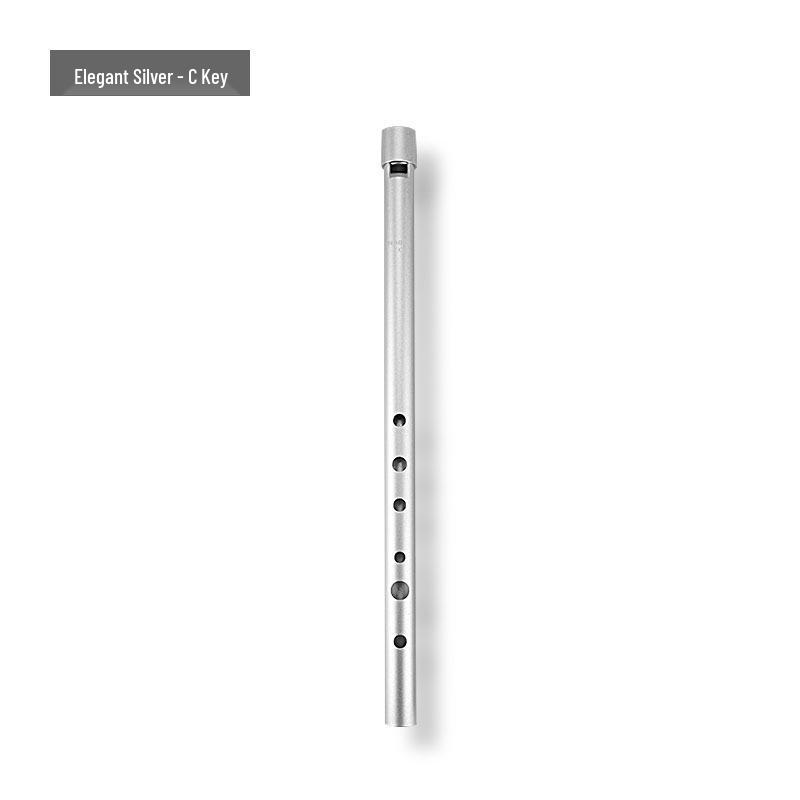 

NAOMI All-Metal High-Pitch Irish Tin Whistle, D/C Key, for Adults and Students