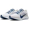 Nike Zoom Pegasus Turbo 2 Grey Coastal Blue AT2863-005