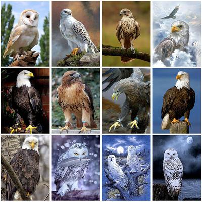 Diy Owl 5d Diamond Painting Full Round Drill Mosaic Animal Birds Diamond Embroidery Cross Stitch Kits Home Decor Wall Art Gift