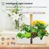 Full Spectrum Garden Planter Indoor Kitchen Smart Herb Grow Germination System Growing Hydroponics Growing System New