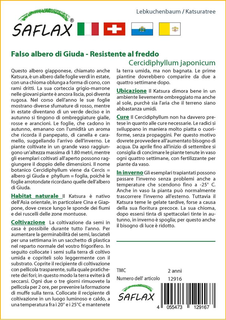 SAFLAX Katsuratree - 200 semi - Cercidiphyllum japonicum