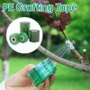 100m In Length Width 20/30mm Stretchable Self-adhesive PE Grafting Tape Film and Multi-functional Gardening Plant Seedling Pruning Shear