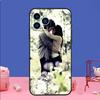 Twilight Saga Hülle Für iPhone 16 15 13 11 14 Pro Max 12 Mini Plus XR X XS Max Silikon Handyhülle
