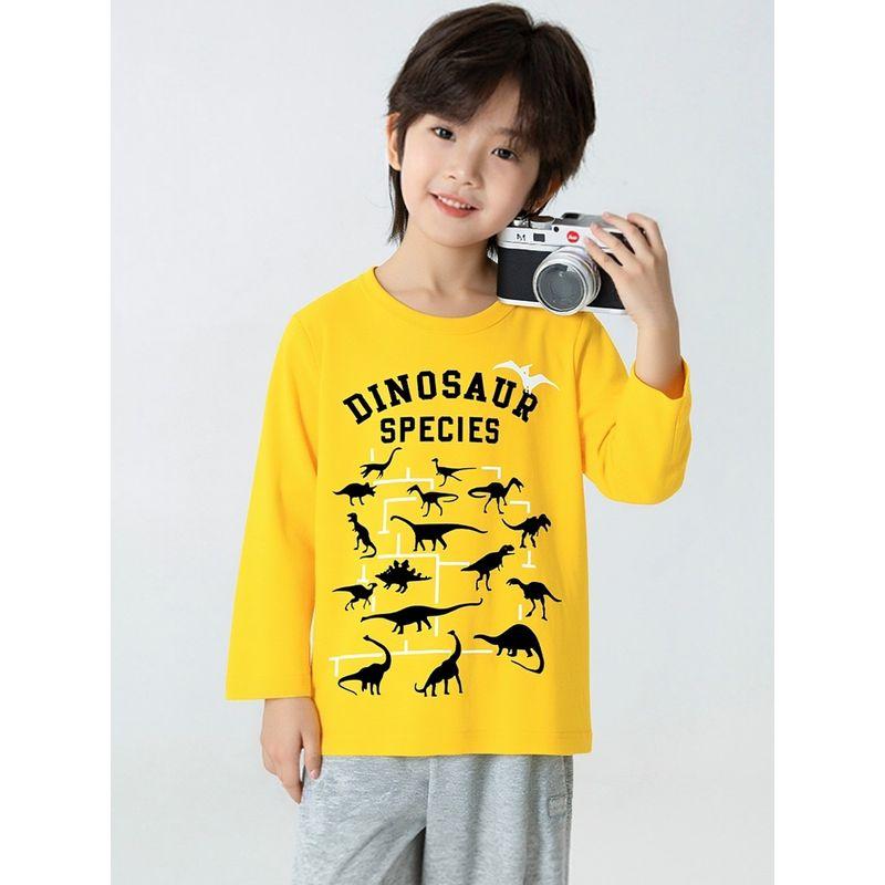 Children's Brand Export Clothing Spring New Arrivals Cartoon Dinosaur Pure Cotton Base Shirt Children's Long-Sleeve T-Shirt for Boys