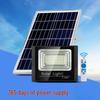 100W Dual Solar Floodlight with Remote and Timer
