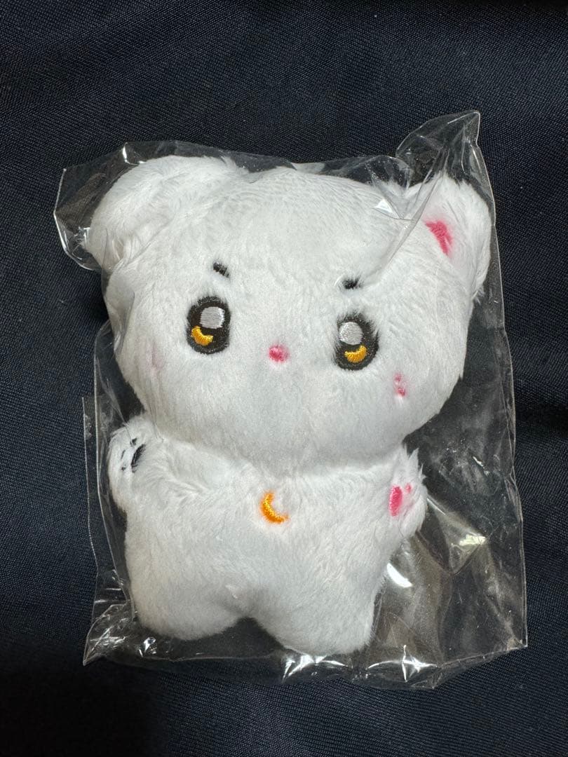 

[USED] ASTRO Moonbin Plush Toy 10cm Master