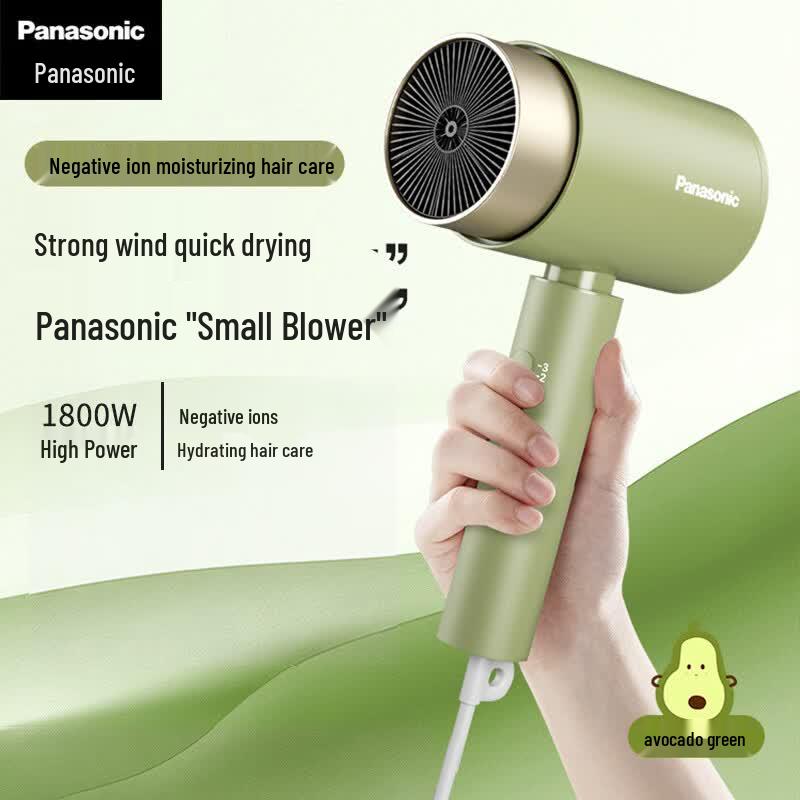 Panasonic High-Speed Hair Dryer CN plug (adapter included)