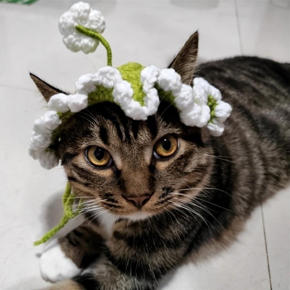 Gehäkelte Haustierkappe Warme Katze zum Binden Einzigartige Gestrickte Katzenmütze Foto Requisiten