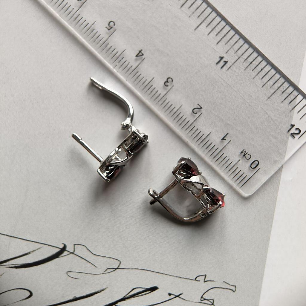 Silver Earrings with Natural Garnet 4.9ct (2181910)