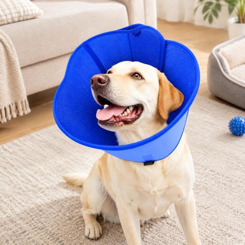 Pet Recovery Collar with Bounded Edges, Wearable Barrier for Care and After-Grooming Pet Recovery, Lick Proof Design
