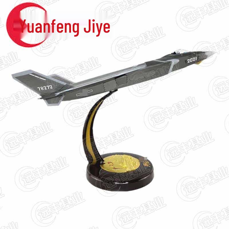 J-20 Fighter Jet Scale Model