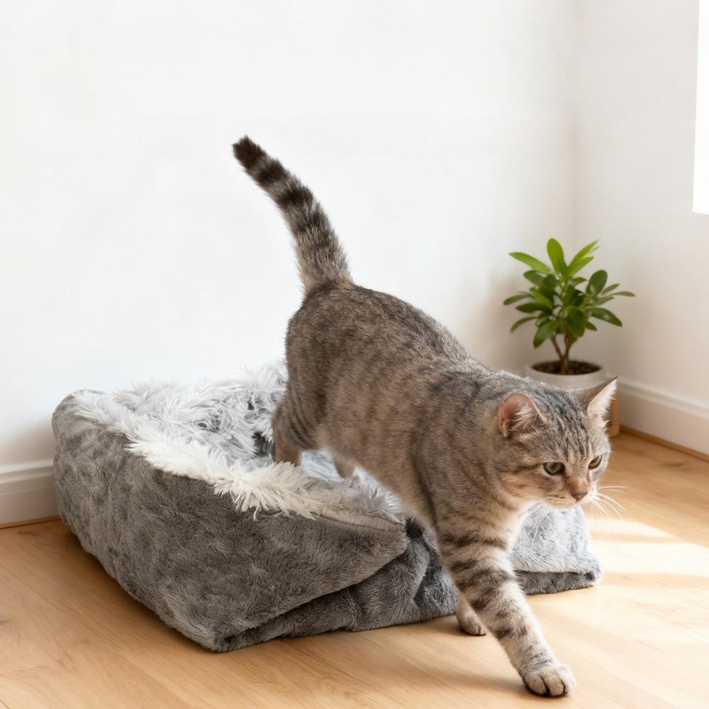 Bed for Cats Pet Products Cushions Kitten Winter Accessories Dog All Houses Supplies Things Accessory Habitats Basket House Beds