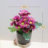 Artificial Daisy Silk Flowers Set Home Decor Table Centerpiece Living Room Dining Arrangement