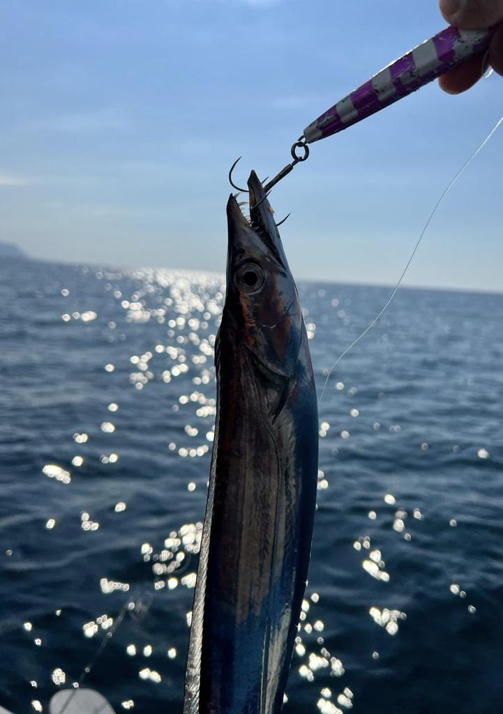 Jig metalic KAJIKI, acoperire cu jig NA, Jigging de țărm, Jigging offshore, Momeală luminoasă, Pescuit maritim, Pescuit în barcă, Pește albastru, Coadă de păr, Macrou spaniol, Biban de mare