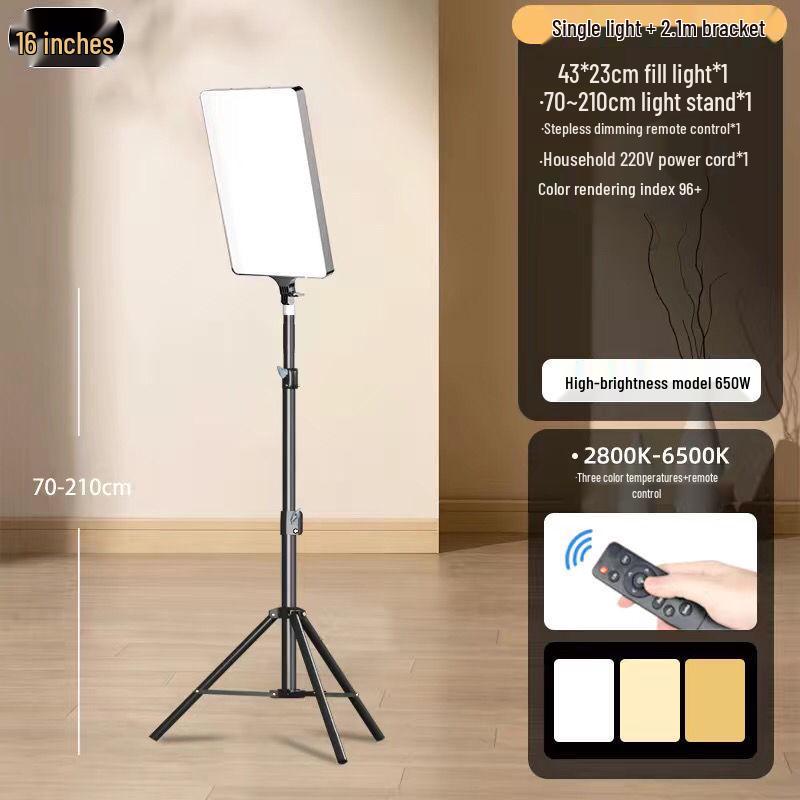 Professional Mobile Live Streaming Fill Light for Outdoor Video Shoots