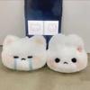 Adorable Capybara Star Cartoon Plush Pendant & Keychain Ornament